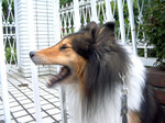07_07lucky_02.jpg