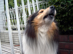 07_07lucky_03.jpg