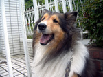 07_07lucky_04.jpg