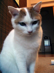 kenhana05.jpg
